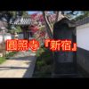 圓照寺『新宿』は綺麗で落ち着く空間（動画）